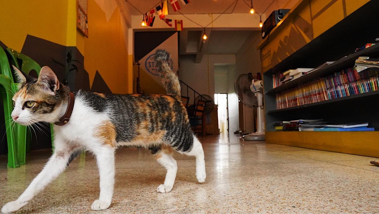 Stamp Hostel (Adults Only) Ban Yang  Ngoại thất bức ảnh