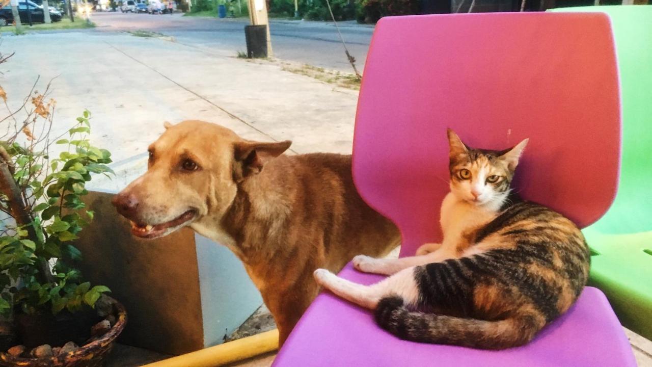 Stamp Hostel (Adults Only) Ban Yang  Ngoại thất bức ảnh